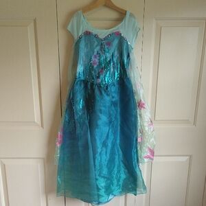 Kids Frozen-Inspired Blue and Green Costume Dress